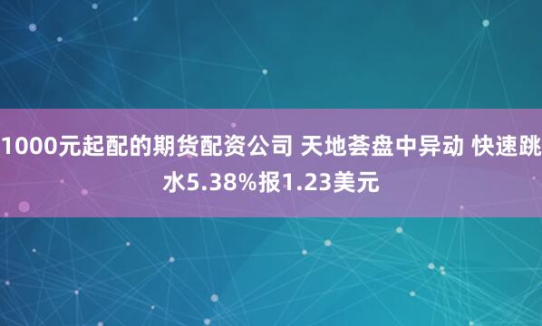 1000元起配的期货配资公司 天地荟盘中异动 快速跳水5.38%报1.23美元