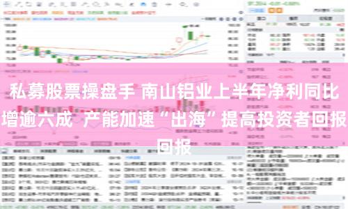私募股票操盘手 南山铝业上半年净利同比增逾六成  产能加速“出海”提高投资者回报