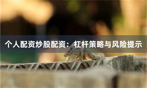 个人配资炒股配资:杠杆策略与风险提示