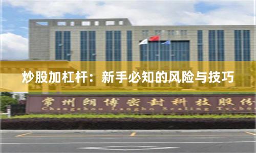 炒股加杠杆：新手必知的风险与技巧